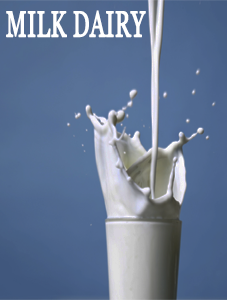 MILK DAIRY